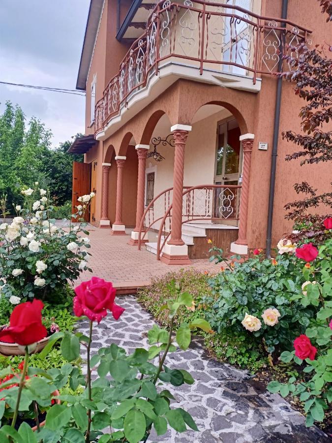 Lily - Storie Del Bosco - Bed and Breakfast San Felice sul Panaro Eksteriør billede